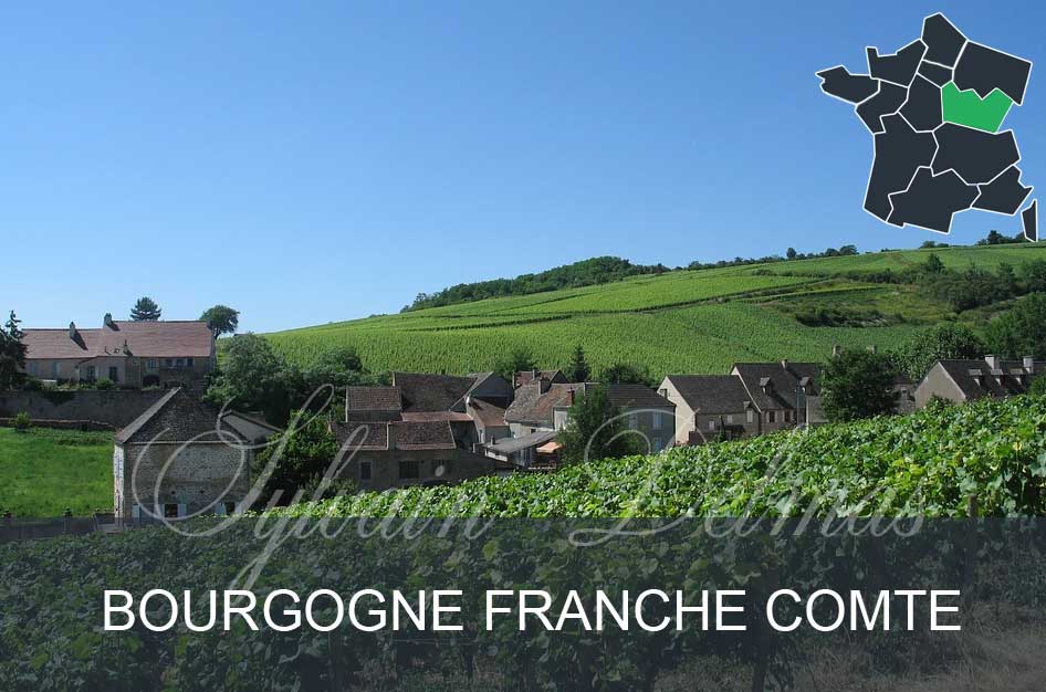 regions-bourgogne-franche-comte.jpg