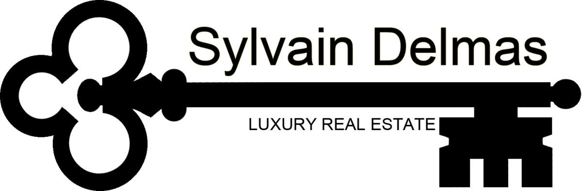sylvain-delmas-logo-2024.png