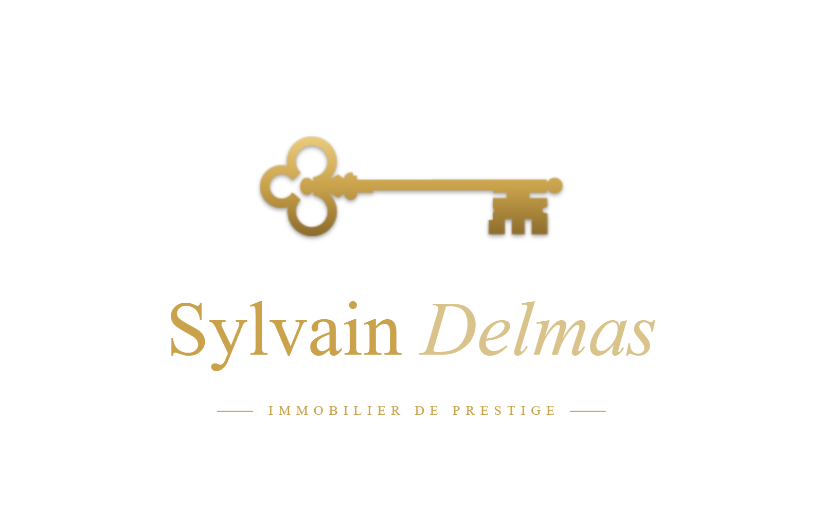 Sylvain Delmas — Immobilier de Prestige