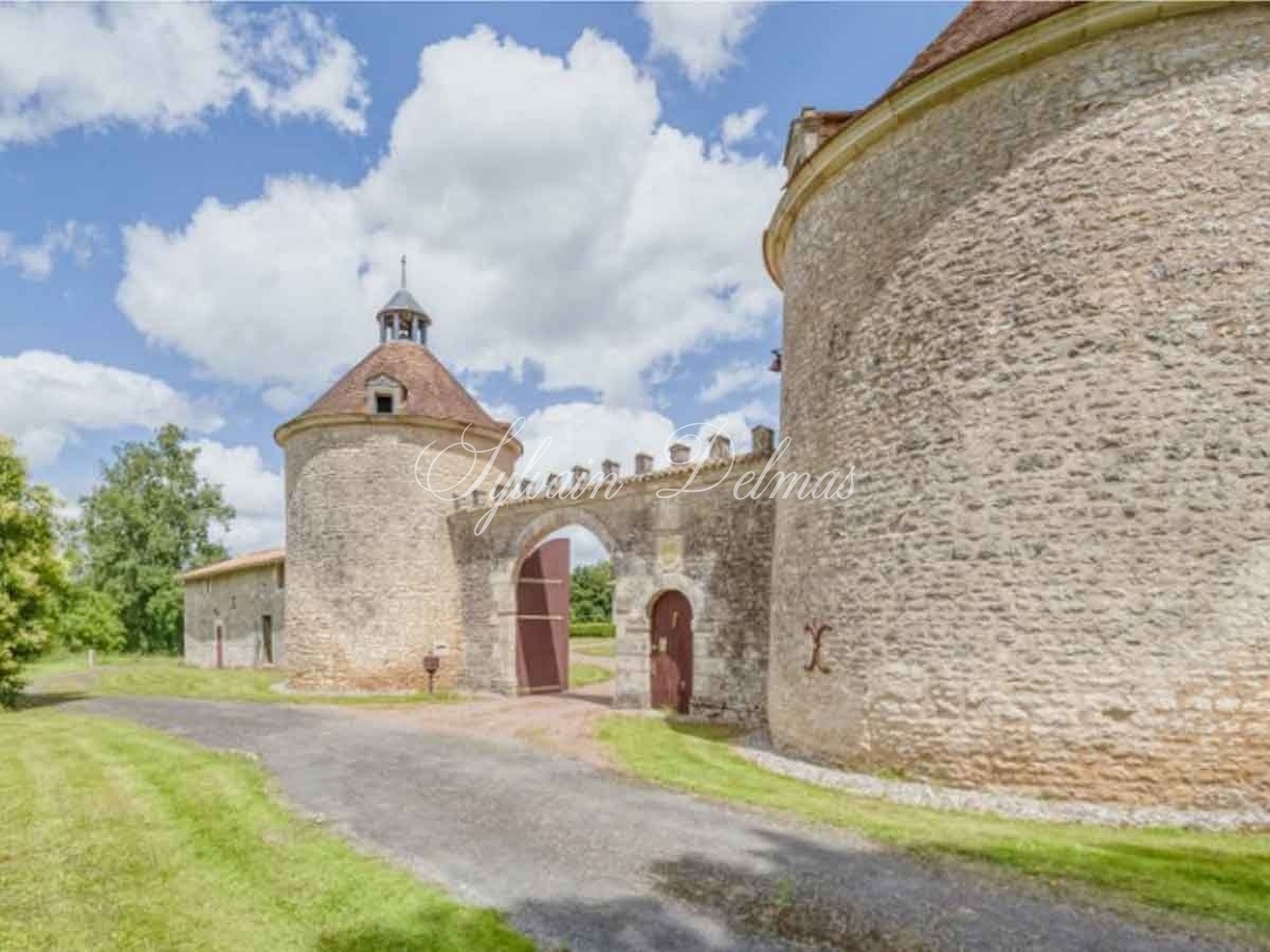 Chateau du XVIe avec gîtes à Niort - 429m² - 24Ha