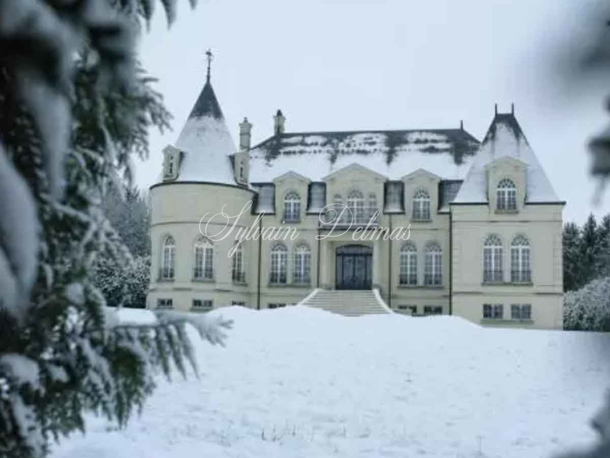 Chateau XXe à Reims - 300m² - 8 Chambres - 18 Ha
