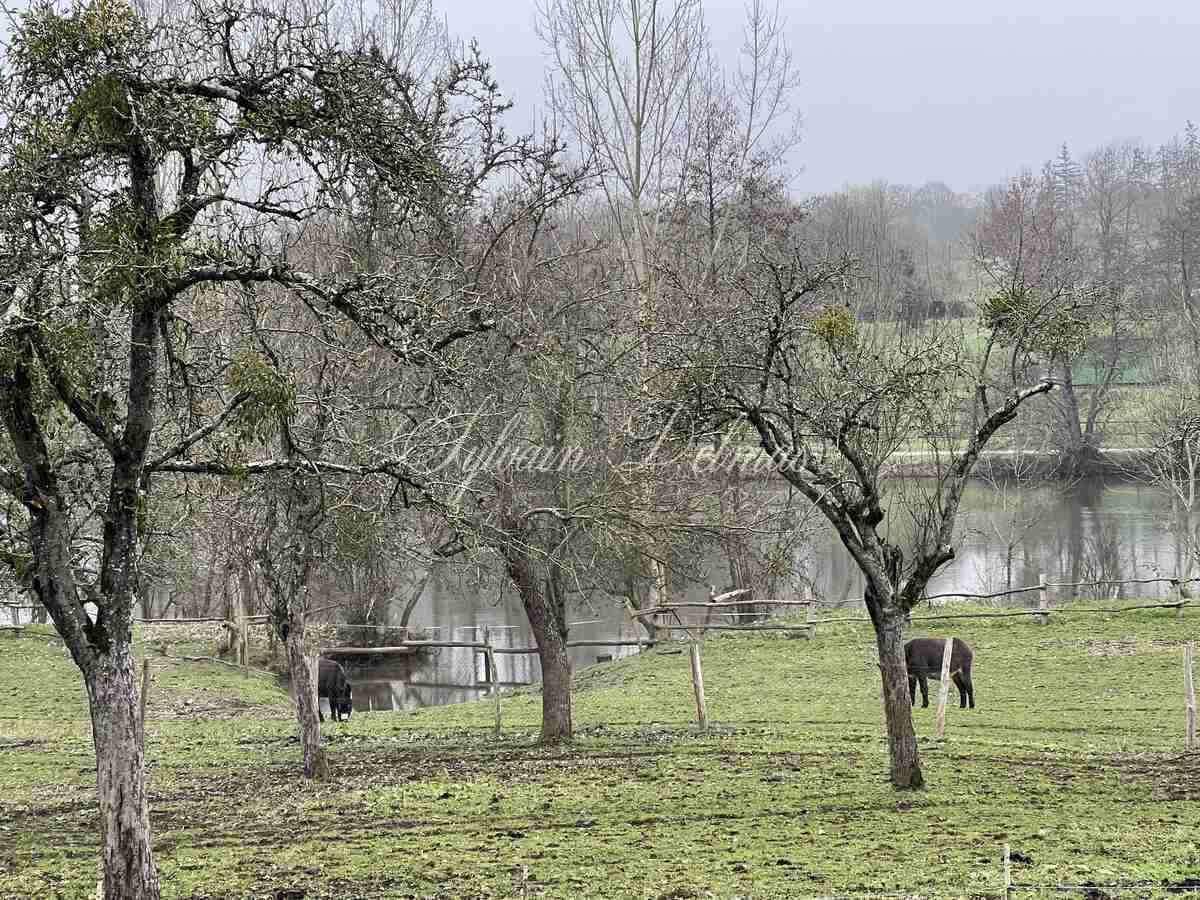 Environnement à couper le souffle, manoir du XIX° sur 13 hectares en bordure de rivière.