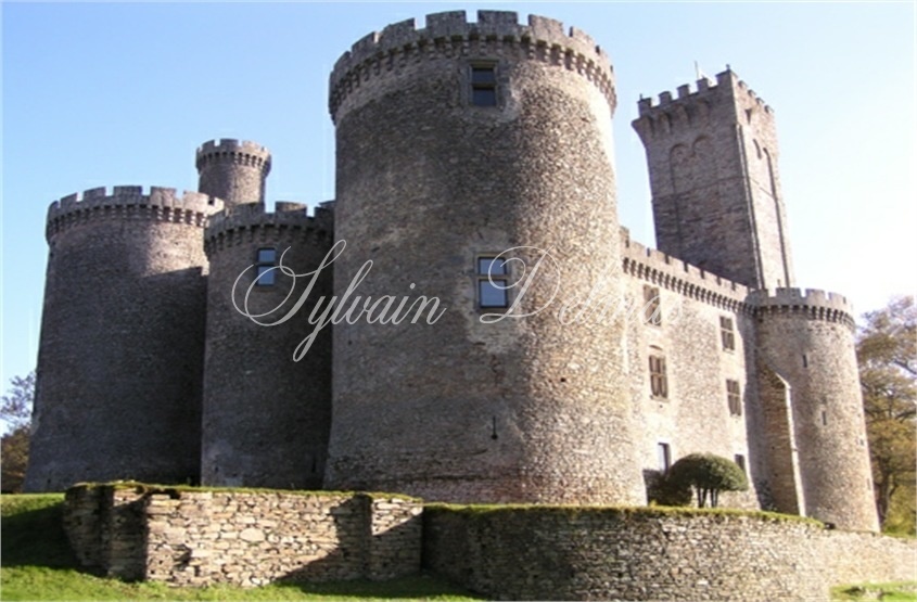 Périgord a vendre exceptionnel Château Médiéval du XIIème siècle sur 170ha