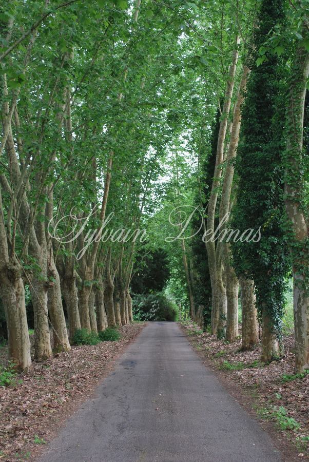 A VENDRE Hôtel restaurant proche de Sarlat
