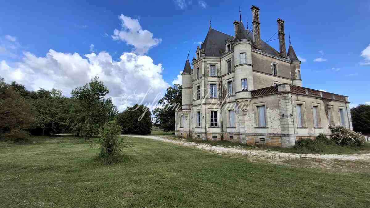 Château XIX eme ideal pour hôtel restaurant clos de murs.