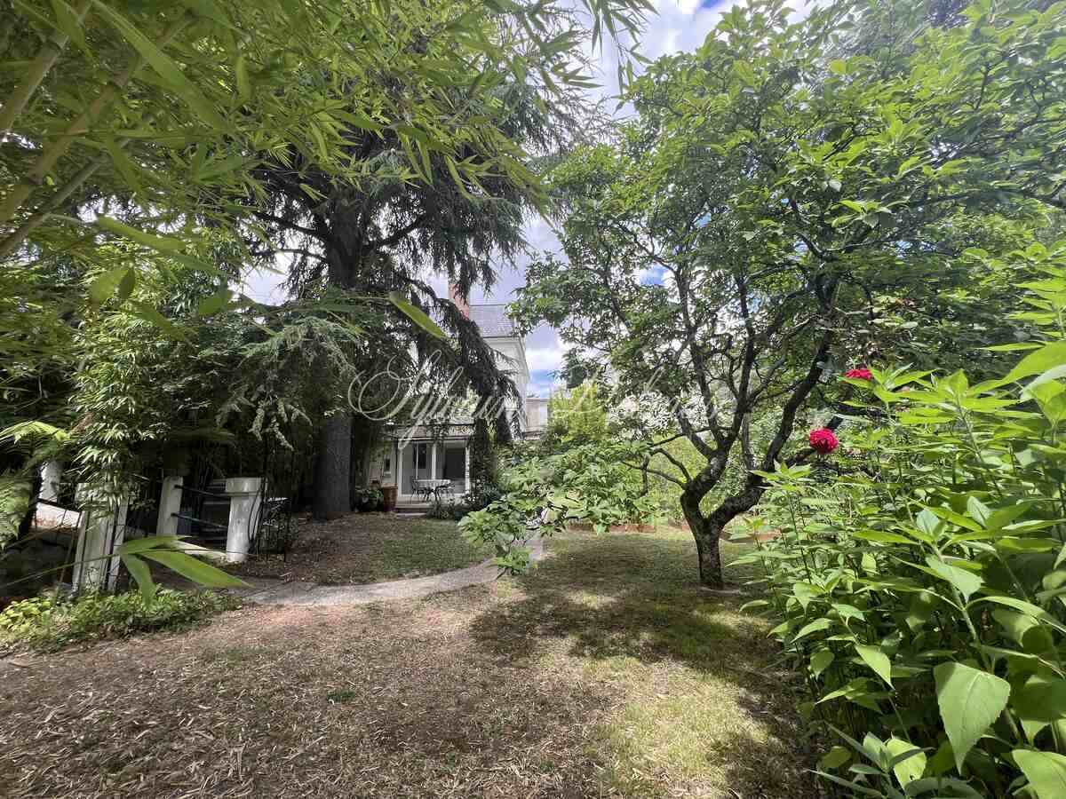 Saint Cyr sur LOIRE à 5 minutes du centre de TOURS maison XIXème 220 M2 avec jardin et garage