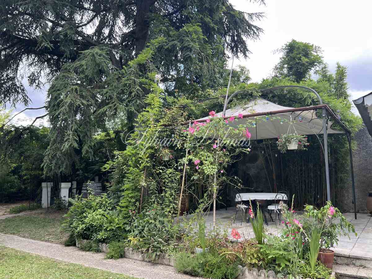 Saint Cyr sur LOIRE à 5 minutes du centre de TOURS maison XIXème 220 M2 avec jardin et garage