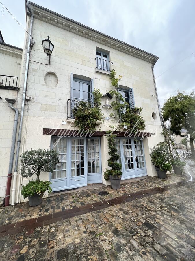 Maison XIX ème en tuffeaux quartier cathédrale Tours 240 M2