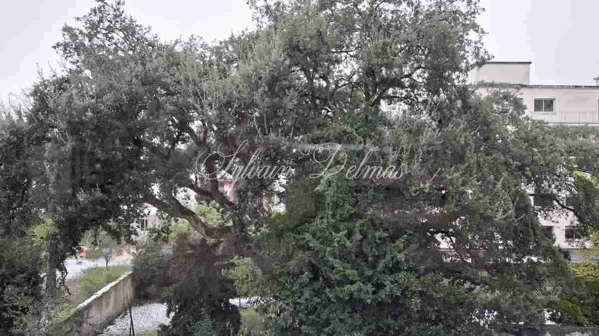 Superbe appartement de 150m2 ultra lumineux aux jardin des Prébendes à Tours