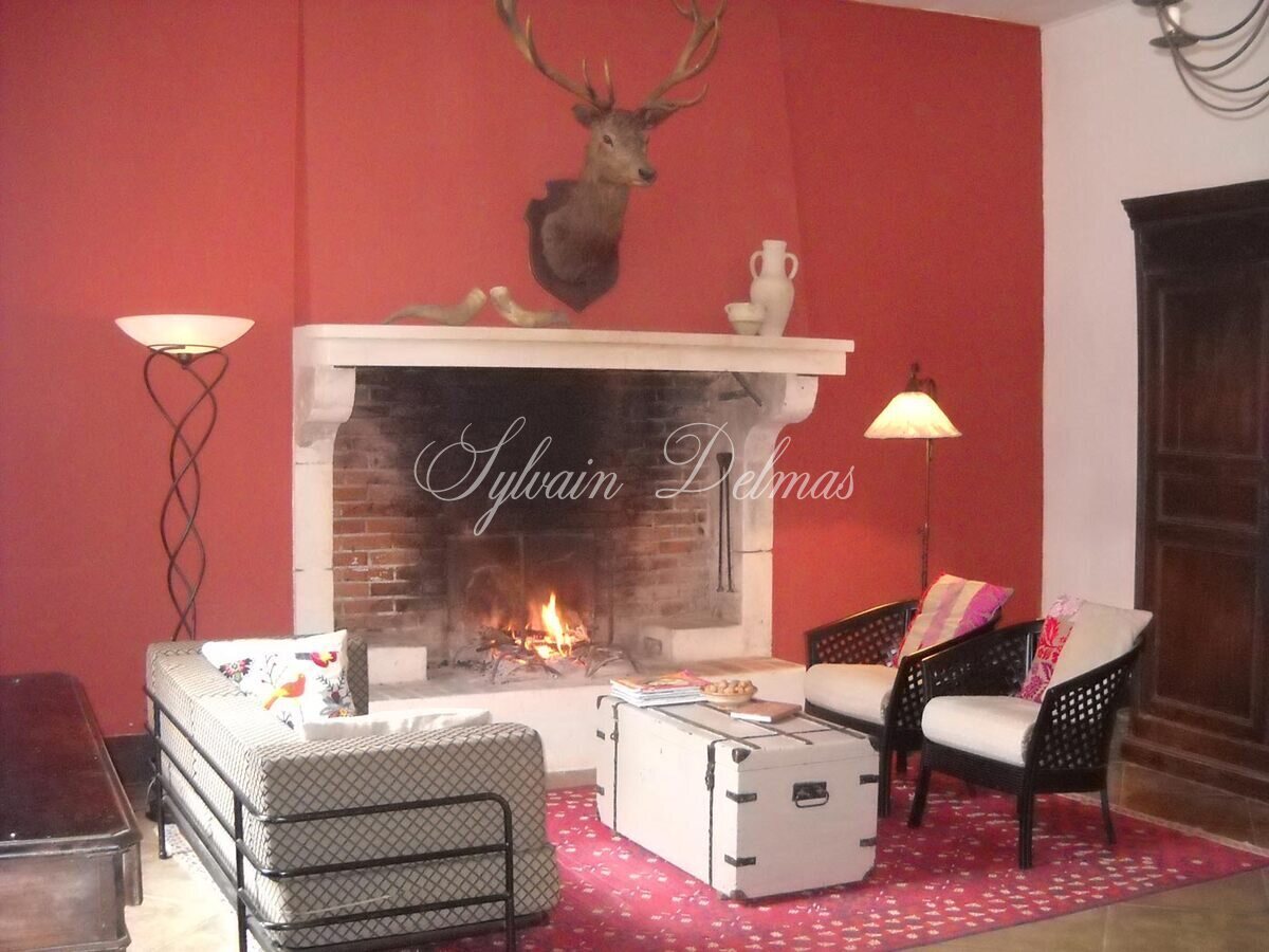 Château en Charente, 1,2 hectare, Piscine, Environnement paisible - Confolens 