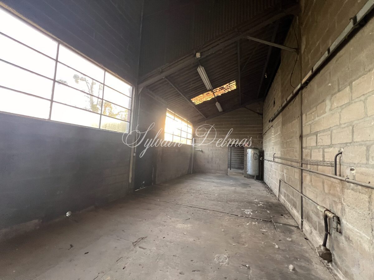 LOCAUX INDUSTRIELS   NAZELLE NEGRON