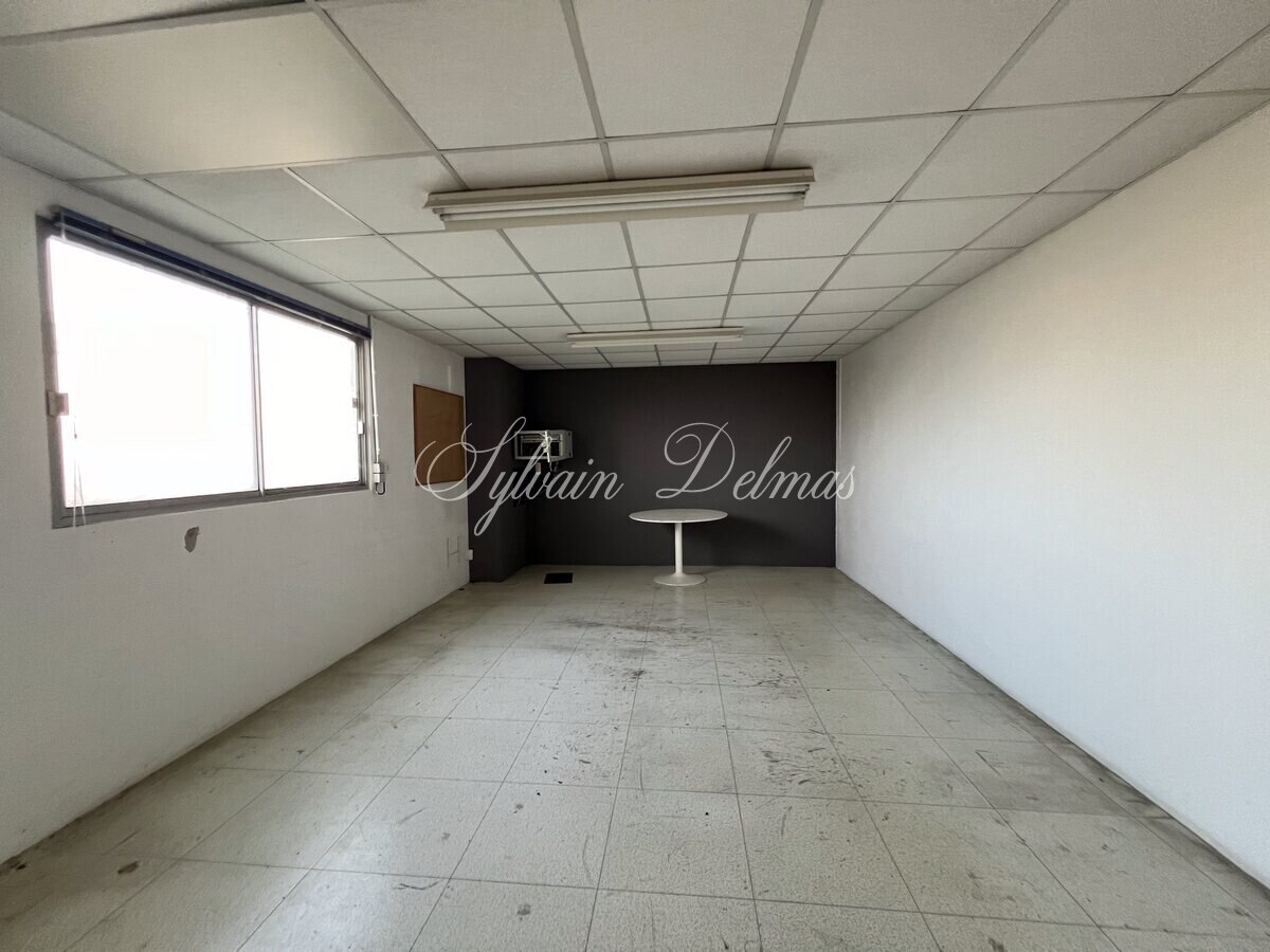 LOCAUX INDUSTRIELS   NAZELLE NEGRON