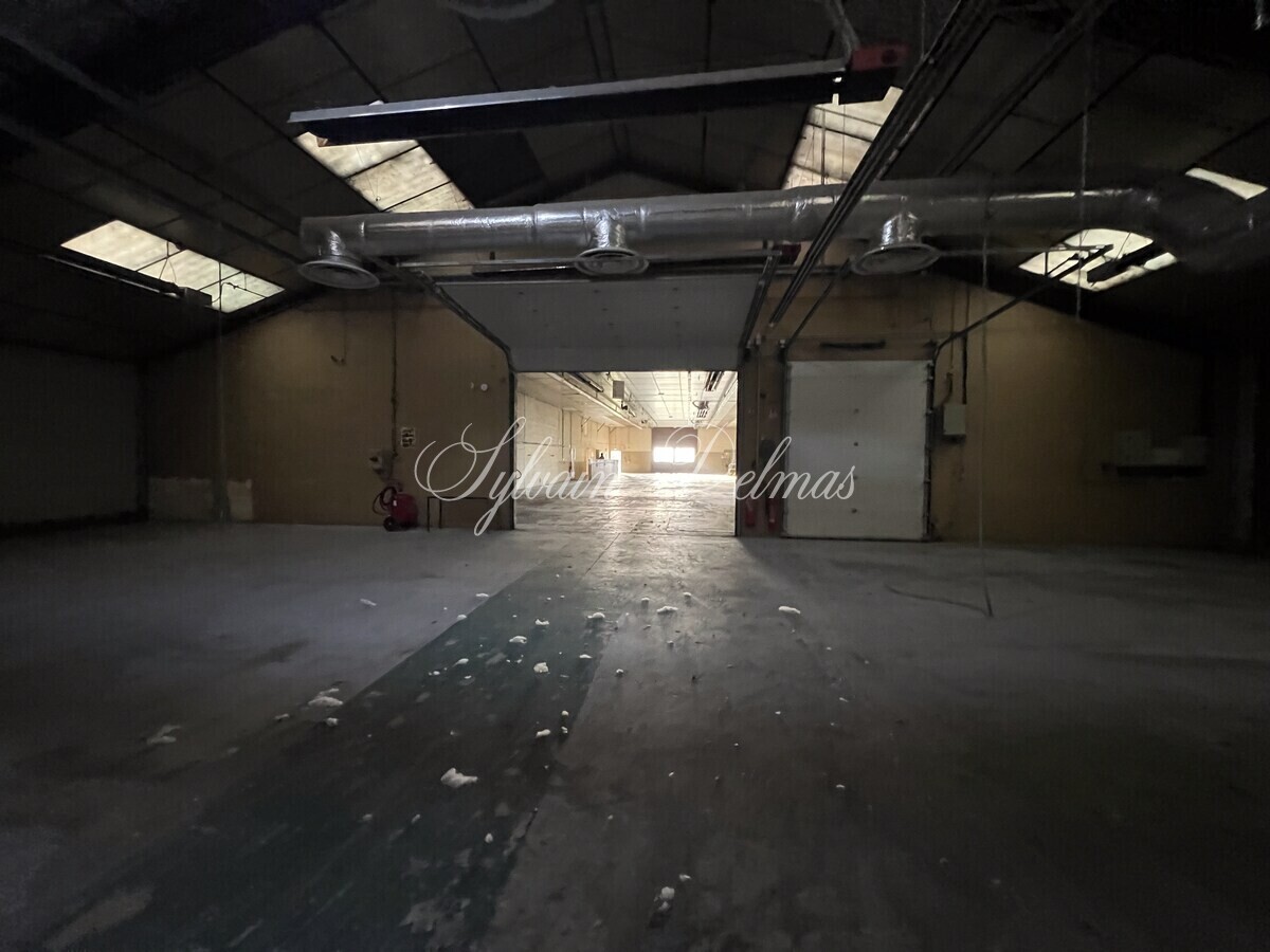 LOCAUX INDUSTRIELS   NAZELLE NEGRON