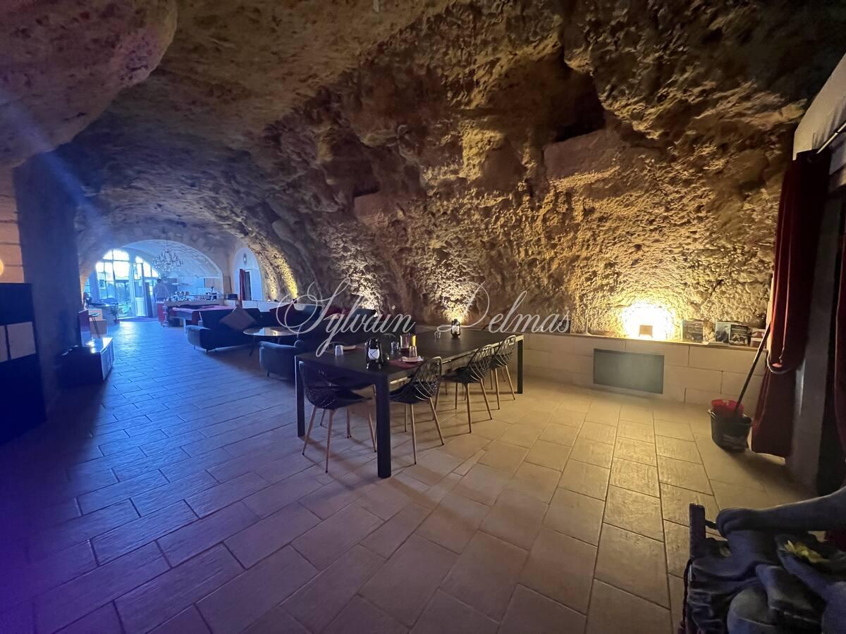 PROPRIETE TROGLODYTE A AMBOISE