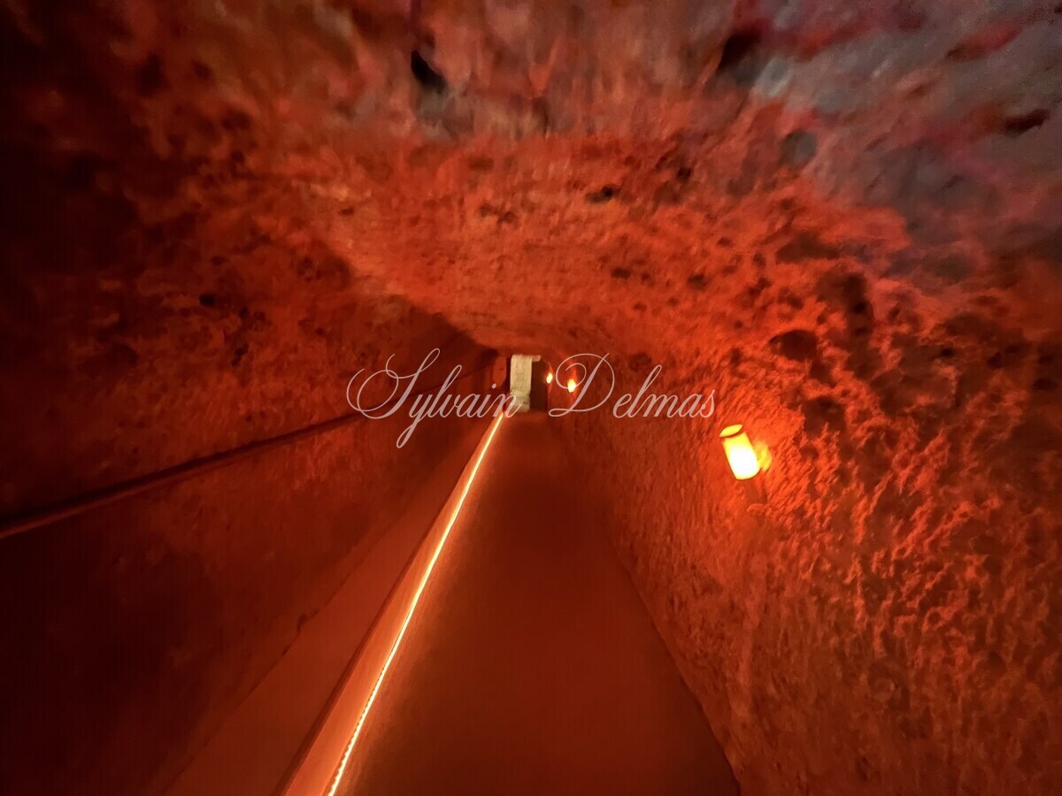 PROPRIETE TROGLODYTE A AMBOISE