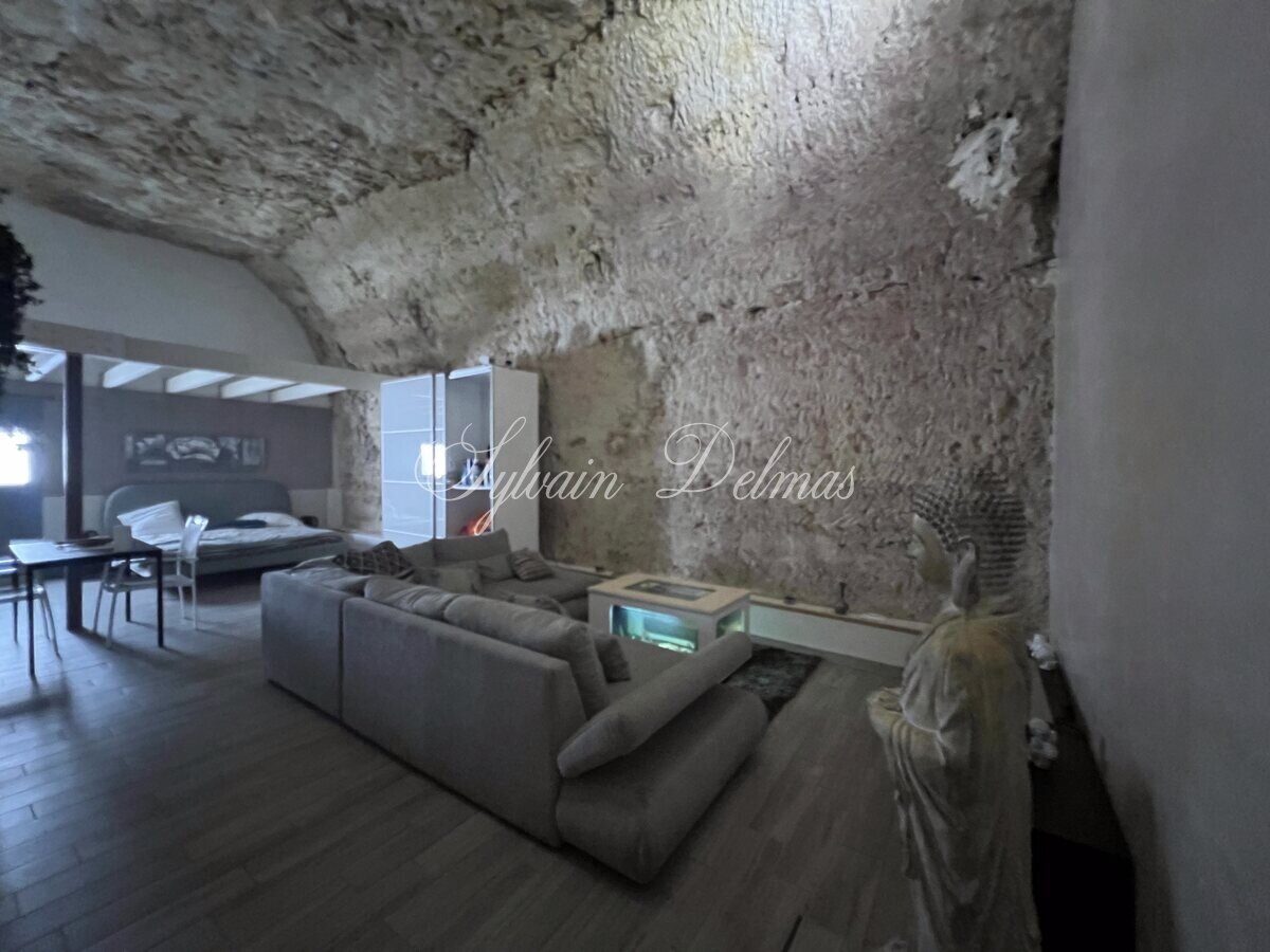 PROPRIETE TROGLODYTE A AMBOISE