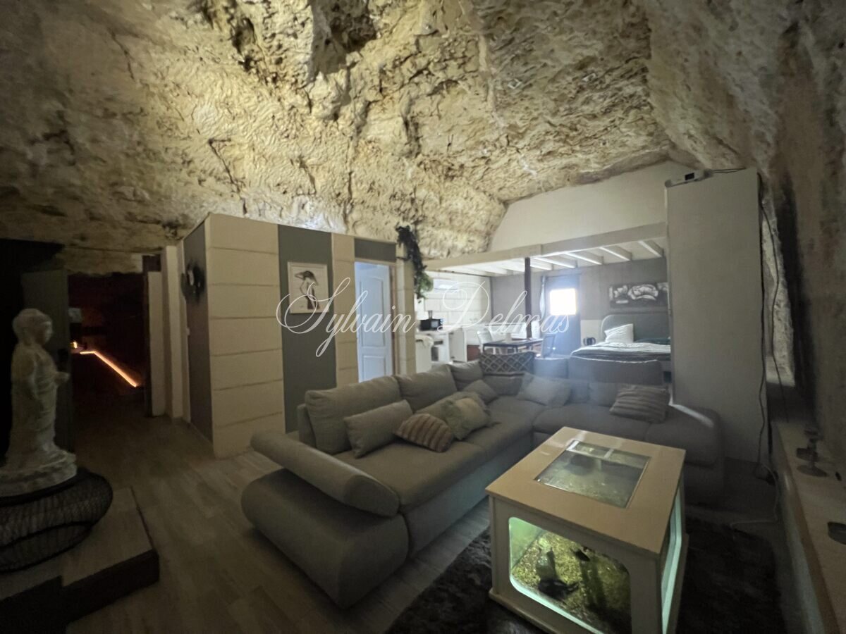 PROPRIETE TROGLODYTE A AMBOISE