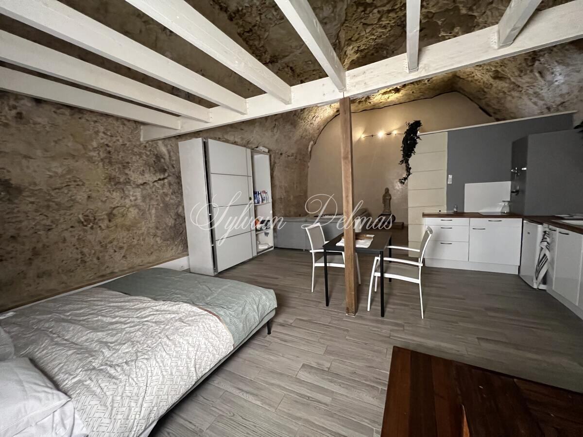 PROPRIETE TROGLODYTE A AMBOISE