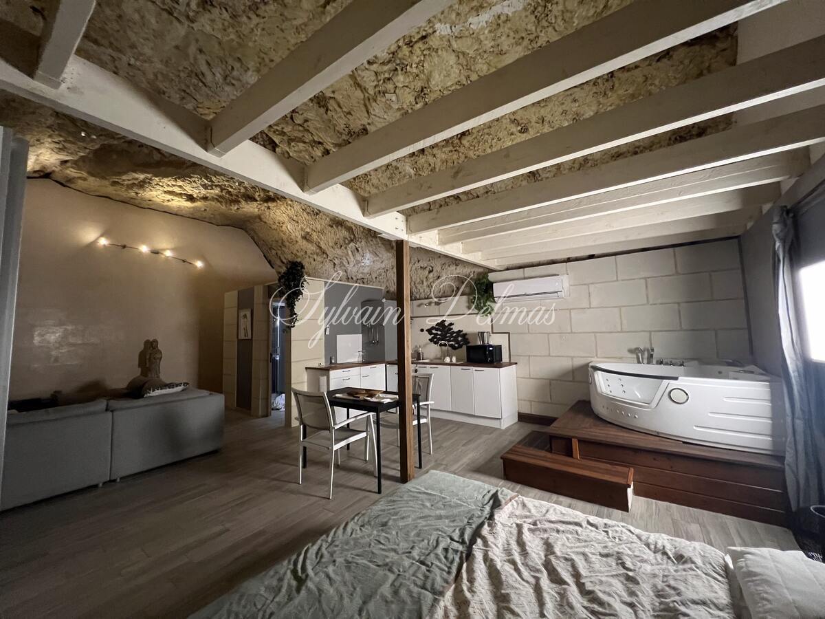 PROPRIETE TROGLODYTE A AMBOISE