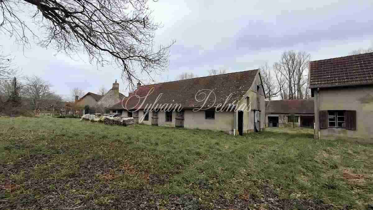 Propriété de chasse en Sologne s'étendant sur 84 hectares a 15 min de Romorantin.