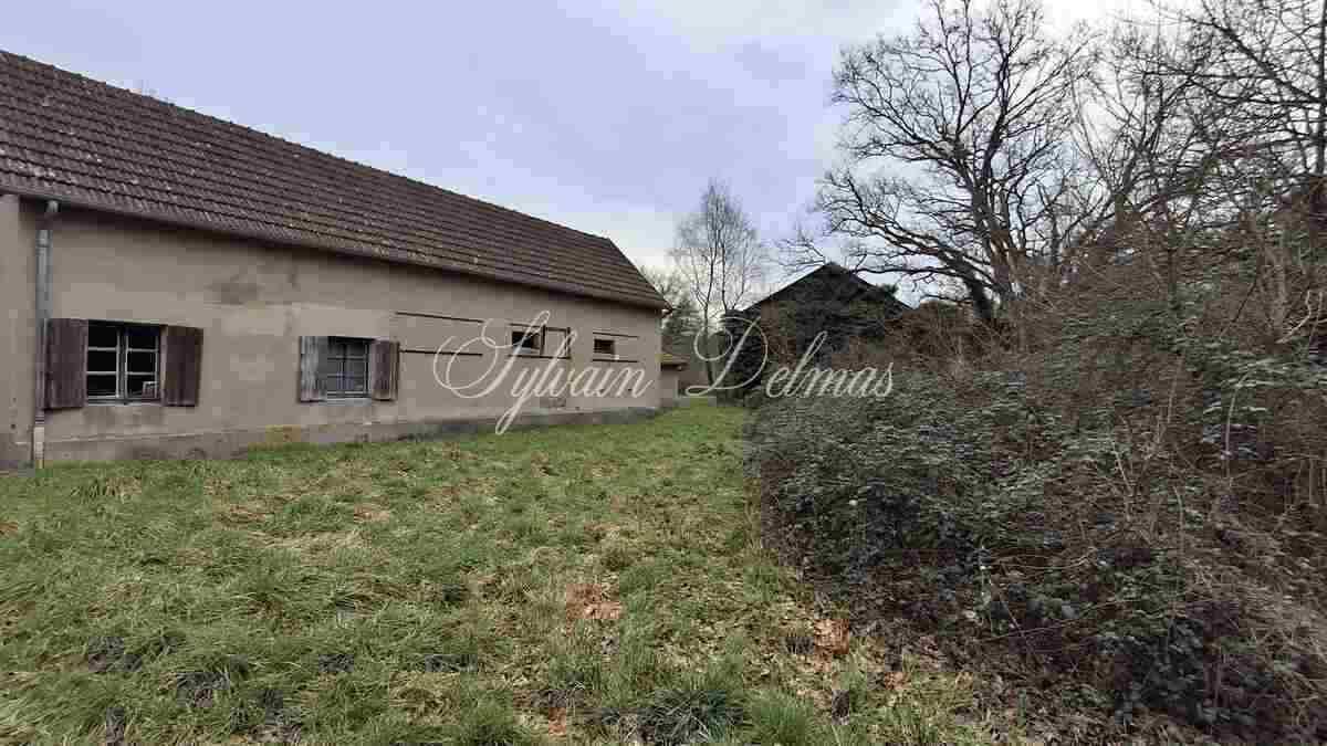 Propriété de chasse en Sologne s'étendant sur 84 hectares a 15 min de Romorantin.