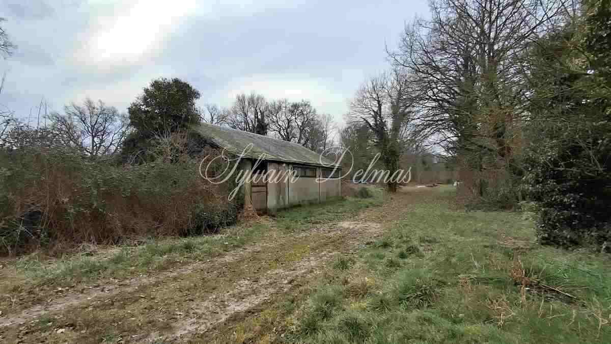 Propriété de chasse en Sologne s'étendant sur 84 hectares a 15 min de Romorantin.