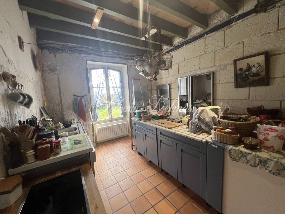 Château XIXème avec nombreuses dépendances sur 2.5 hectares LOCHES