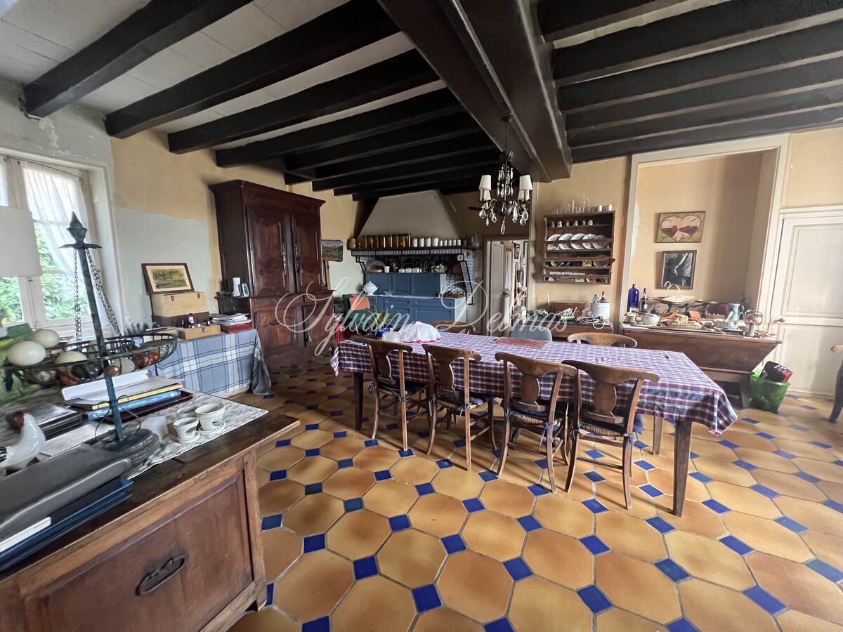 Château XIXème avec nombreuses dépendances sur 2.5 hectares LOCHES