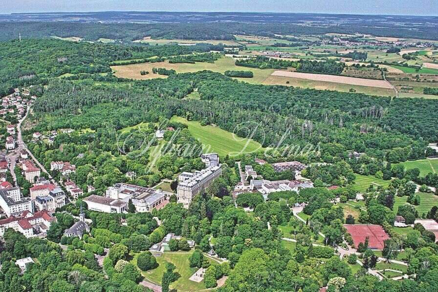 Hôtel 4* dans les VOSGES 160 CHAMBRES ET SPA