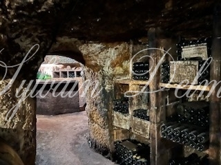 Rare opportunité… Vignoble en appellation Vouvray de 20 ha.