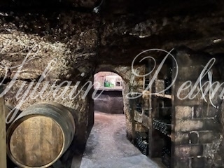 Rare opportunité… Vignoble en appellation Vouvray de 20 ha.