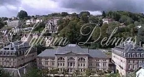 Hotel, restaurant, thermes de 14000m2  avec 110 chambres.