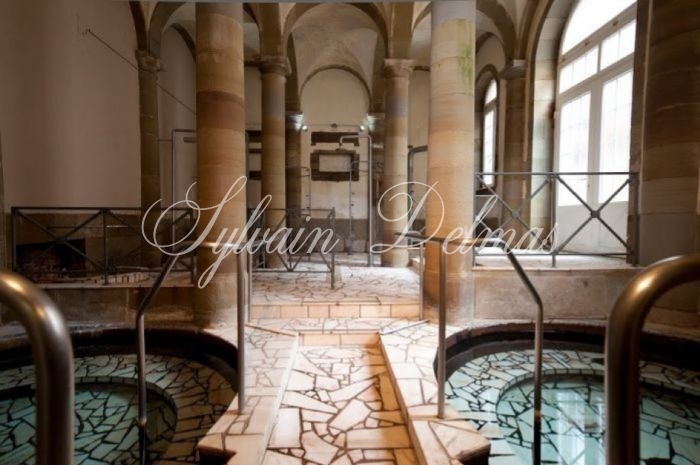 Hotel, restaurant, thermes de 14000m2  avec 110 chambres.