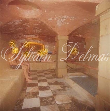 Hotel, restaurant, thermes de 14000m2  avec 110 chambres.