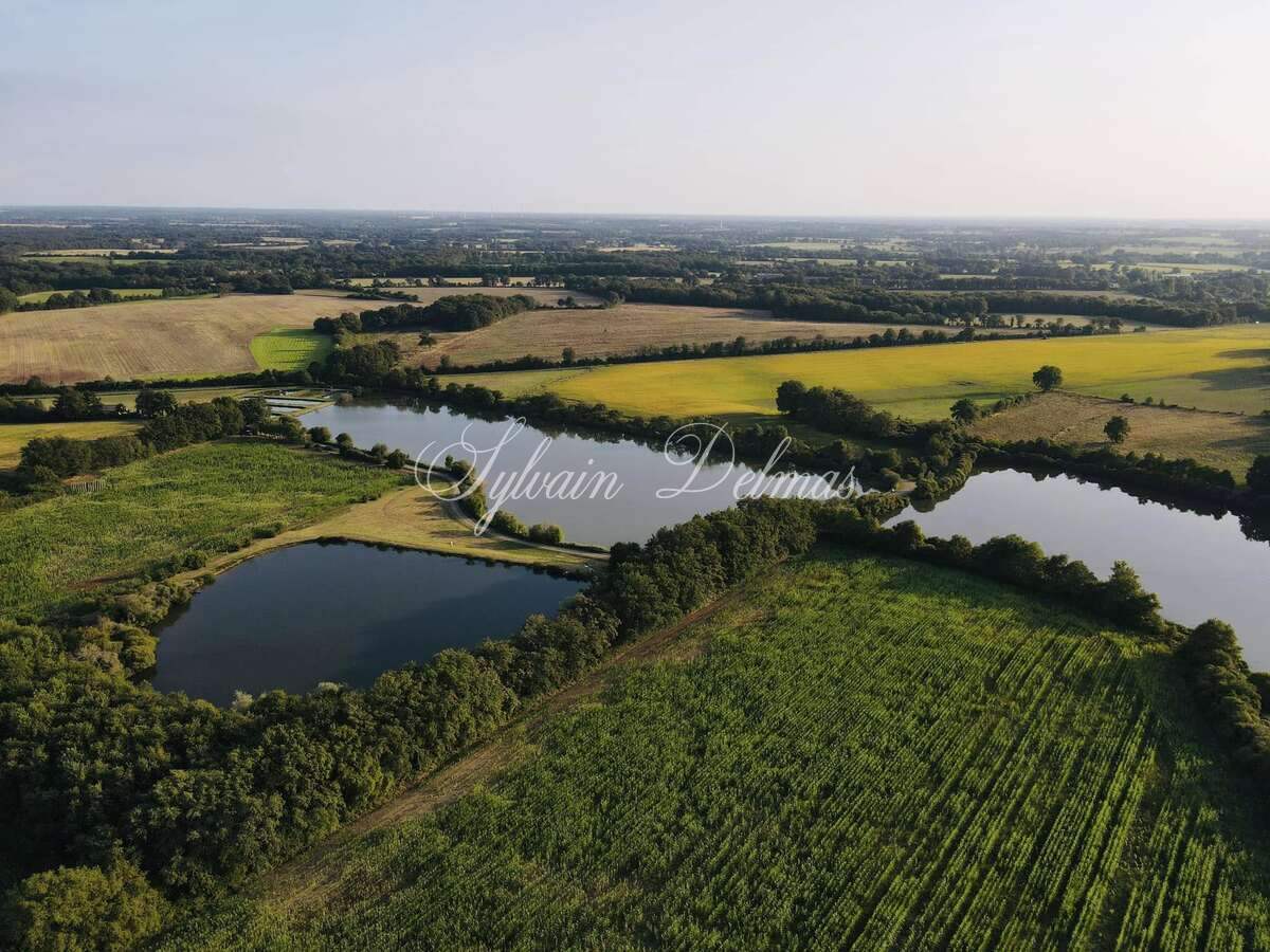 Opportunité d'affaires exceptionnelle : domaine de 24 hectares comprenant 15 hectares d'étangs, parfait pour divers projets touristiques et commerciaux. Avec une activité de location de tentes glamping en pleine expansion.