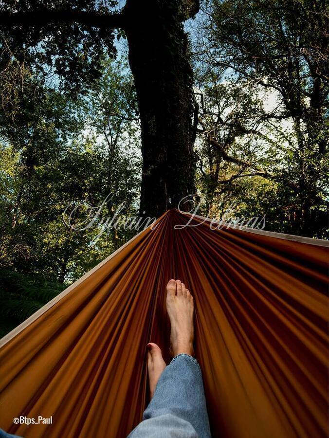Opportunité d'affaires exceptionnelle : domaine de 24 hectares comprenant 15 hectares d'étangs, parfait pour divers projets touristiques et commerciaux. Avec une activité de location de tentes glamping en pleine expansion.