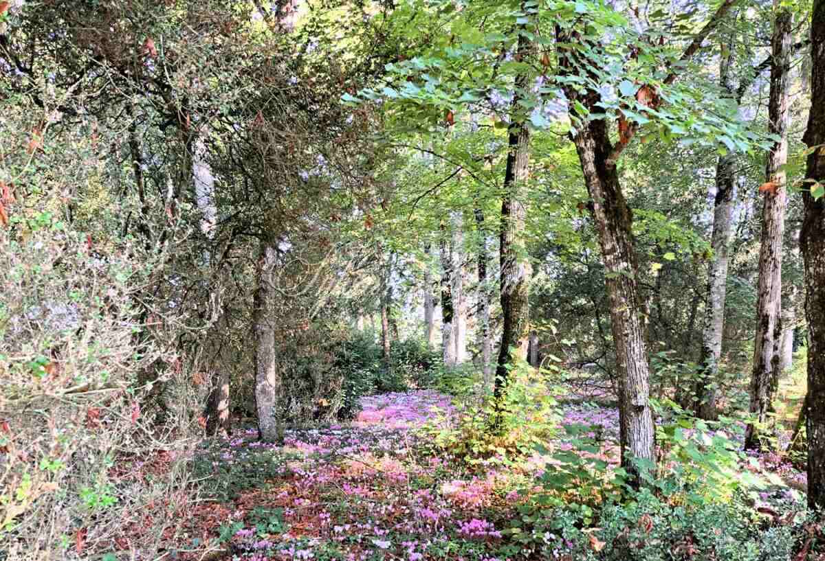 FABULEUX CHÂTEAU XIX ème en Touraine, restauré en lieux de séminaires