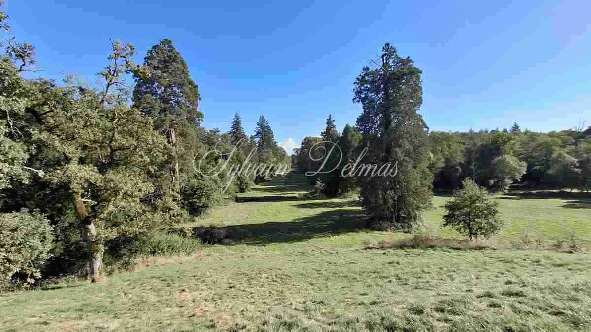 Exceptionnel château XV-XVI et XIXe avec son hameau et ses 108 hectares avec poossibilité d’acheter 200ha en plus
