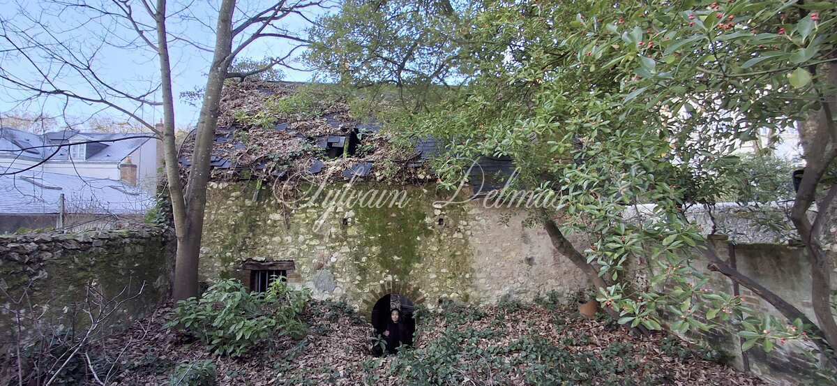 OPPORTUNITÈ RARE MAISON XIXÈME A RESTAURER TOTALEMENT CETRE DE TOURS