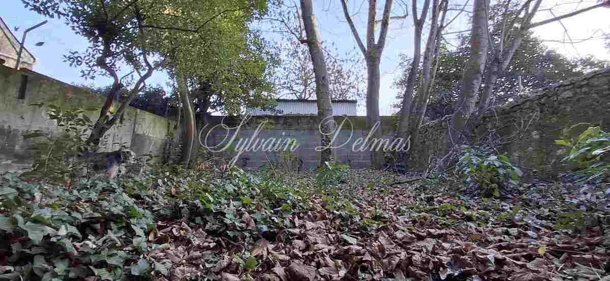 Rénovez cette maison de 143 m2 avec dépendances et deux jardins dans Tours.