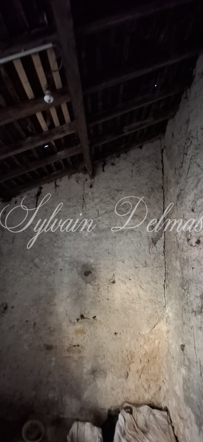 Rénovez cette maison de 143 m2 avec dépendances et deux jardins dans Tours.