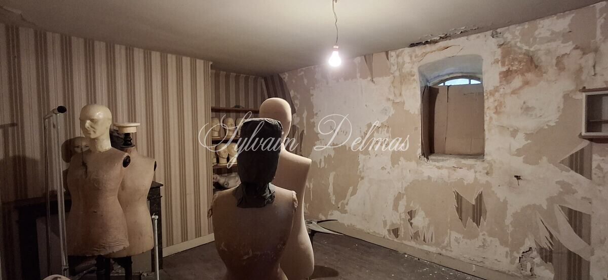 Rénovez cette maison de 143 m2 avec dépendances et deux jardins dans Tours.