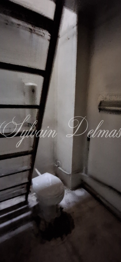 Rénovez cette maison de 143 m2 avec dépendances et deux jardins dans Tours.