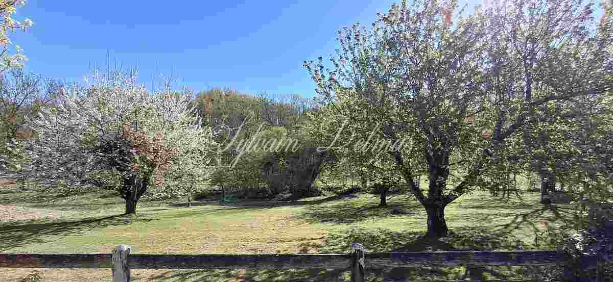 Magnifique château prêt à emménager, a 20min de Tours ! Prenez simplement les clés et installez-vous...