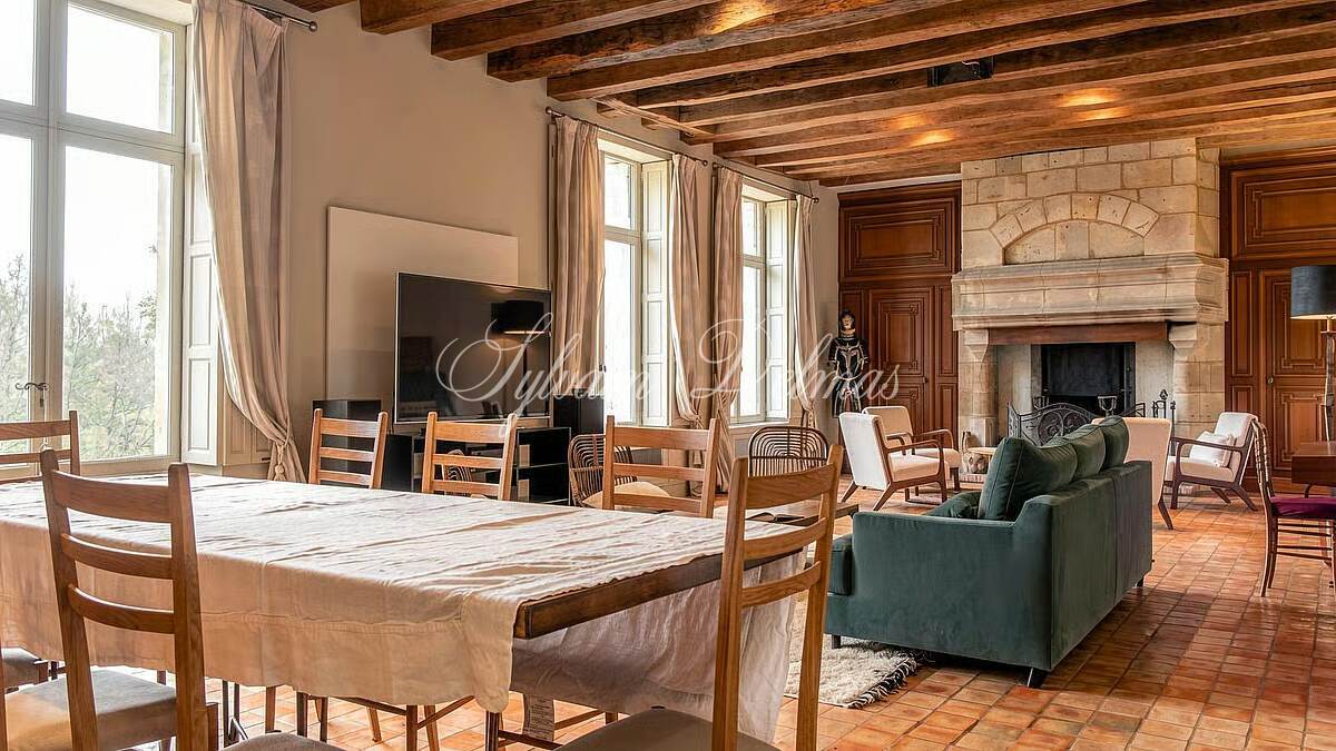 A VENDRE Château à 20 km de Tours centre accès A85 Entièrement  restauré sur 10 hectares