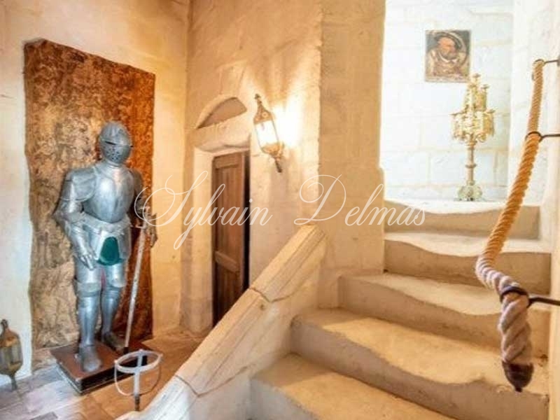 Château — Chateau - 10 pièces - 500m²