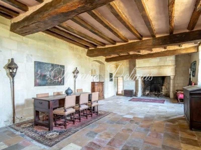 Château — Chateau - 10 pièces - 500m²