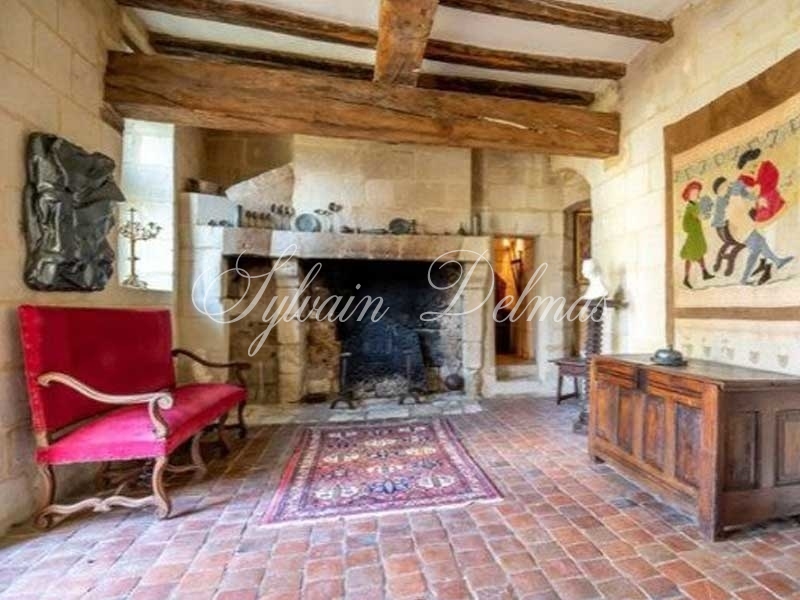 Château — Chateau - 10 pièces - 500m²
