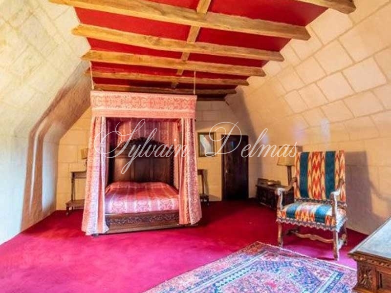 Château — Chateau - 10 pièces - 500m²