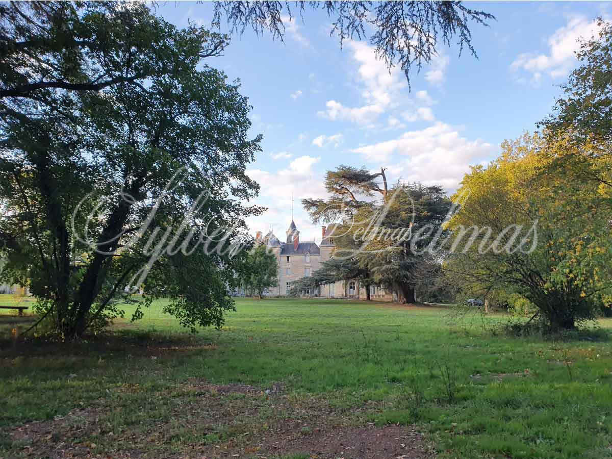 Château — Chateau - 19e - 4400m² - A Restaurer